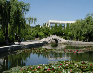 鲁东大学校园风景二