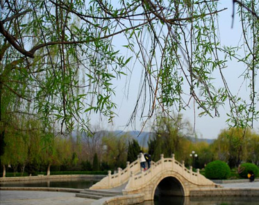 鲁东大学校园风景一